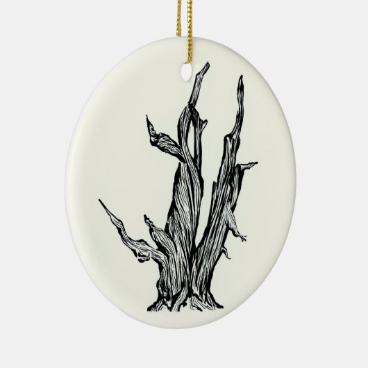Bristlecone Pine Keramisch Ornament (Rechts)