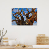 Bristlecone Pine Tree Poster (Keuken)