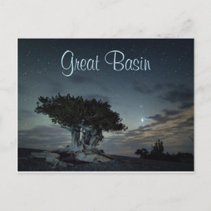 Bristlecone silhouet tegen sterrenhemel briefkaart