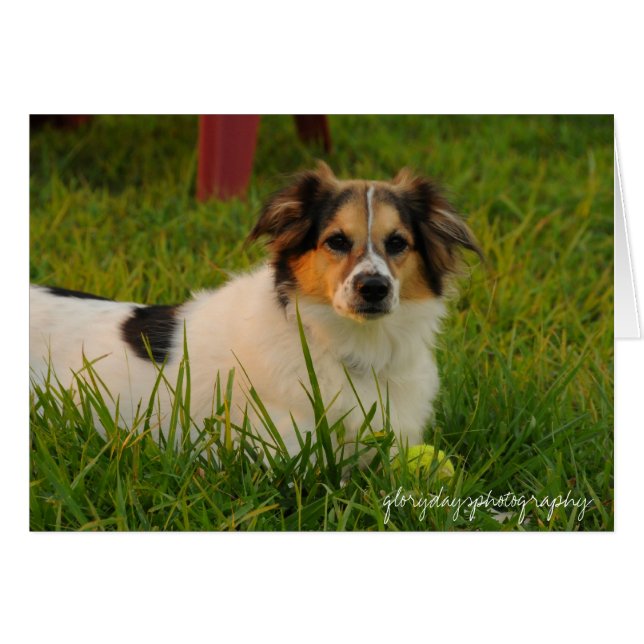 Bristol (Voorkant Horizontaal)