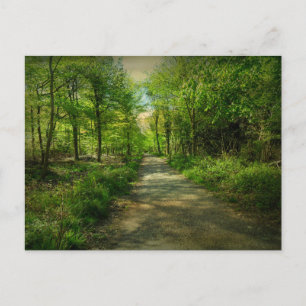 Bristol Avon Forest in de lente. Briefkaart