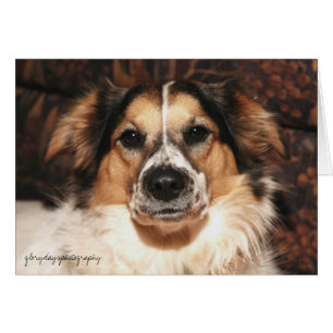 bristol, glorydayfotografie