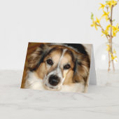 Bristol Kaart (Gele Bloem)