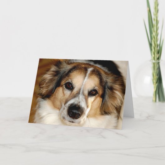 Bristol Kaart (Voorkant)