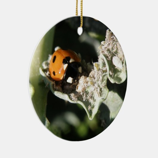 British 7 Spot Ladybug Custom Birthday Keramisch Ornament (Rechts)