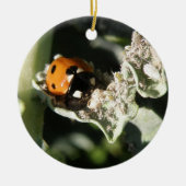 British 7 Spot Ladybug Custom Birthday Keramisch Ornament (Voorkant)