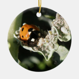 British 7 Spot Ladybug Custom Birthday Keramisch Ornament
