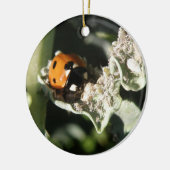British 7 Spot Ladybug Custom Birthday Keramisch Ornament (Links)
