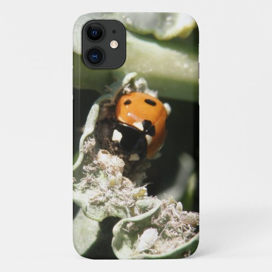 British 7 Spot Ladybug iPhone 3 Case (Achterkant)