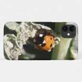 British 7 Spot Ladybug iPhone 3 Case (Achterkant (horizontaal))