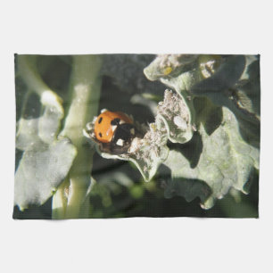 British 7 Spot Ladybug Kitchen Towel Theedoek