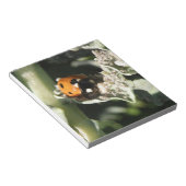 British 7 Spot Ladybug Notepad Notitieblok (Schuin)