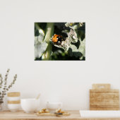 British 7 Spot Ladybug Print (Keuken)