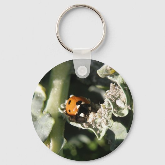 British 7 Spot Ladybug Sleutelhanger (Voorkant)