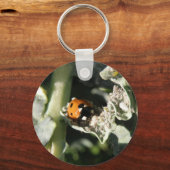 British 7 Spot Ladybug Sleutelhanger (Voorkant)