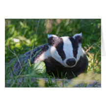 British Badger Kaart