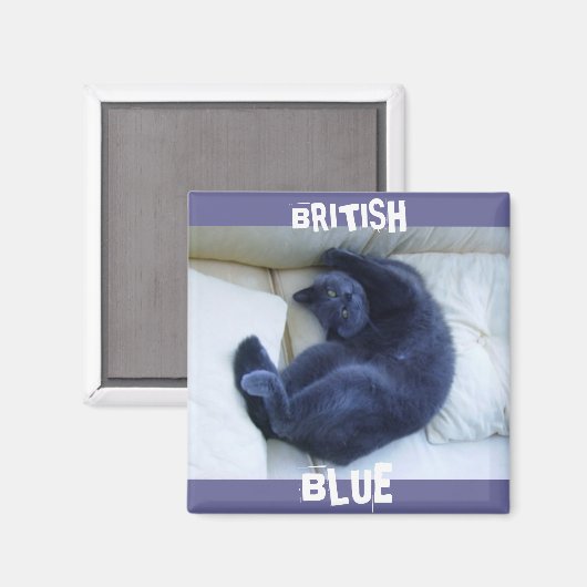BRITISH BLUE CAT MAGNEET (Voorkant / Achterkant)