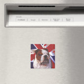 British Bull Dog Magneet (Insitu (Vaatwasser))