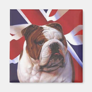 British Bull Dog Magneet