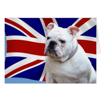 British Bulldog