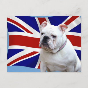 British Bulldog Briefkaart
