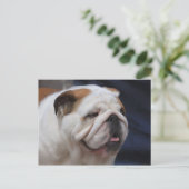 British Bulldog Briefkaart (Staand voorkant)