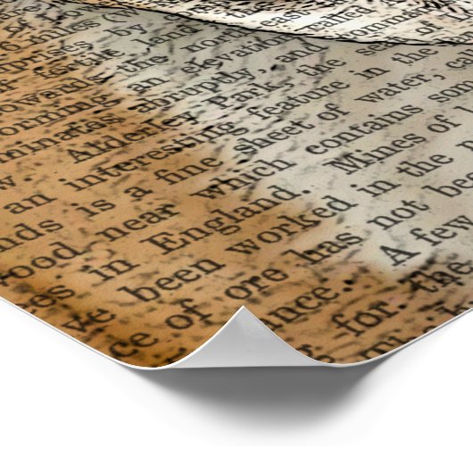 British Bulldog en Bowler Pet Poster (Hoek)