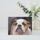 British Bulldog Puppy Briefkaart (Staand voorkant)