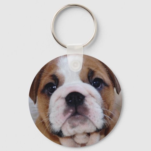 British Bulldog Puppy Keyring Sleutelhanger (Voorkant)