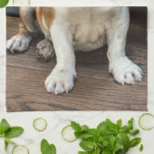 British Bulldog puppy Theedoek (Gevouwen)