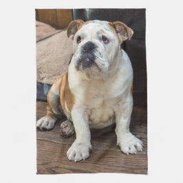 British Bulldog puppy Theedoek