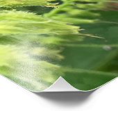 British Bumble Bee on Wild Common Comfrey Foto Afdruk (Hoek)