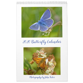British Butterflies Agenda 2020 Kalender