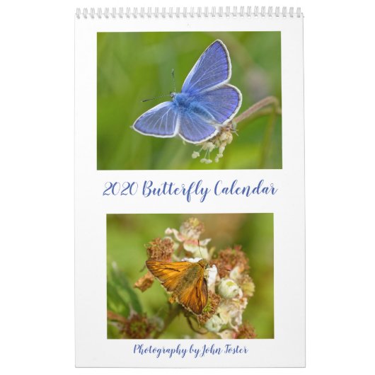 British Butterflies Agenda 2020 Kalender (Hoes)