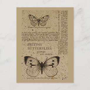 British Butterflies Briefkaart