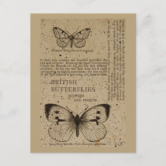 British Butterflies Briefkaart (Voorkant)