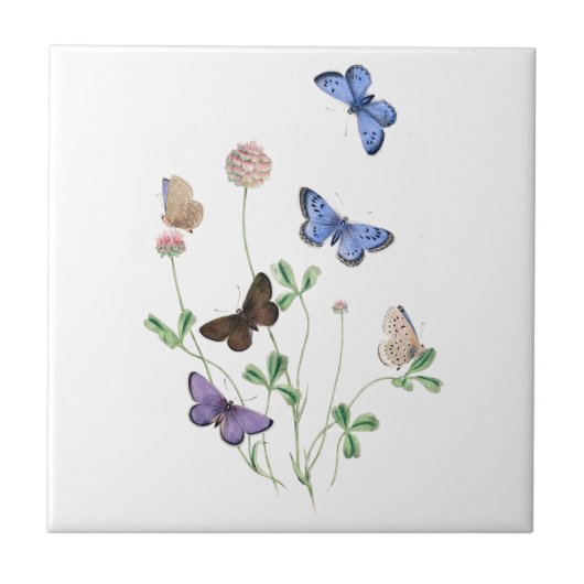 British Butterflies op Clover Ceramic Tile Tegeltje (Voorkant)