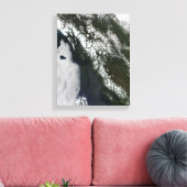 British Columbia Canvas Afdruk (Insitu (Woonkamer))