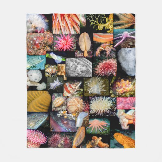 British Columbia Marine Life Collage Blanket Fleece Deken (Voorkant)