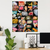 British Columbia Marine Life Collage Poster (Thuiskantoor)