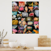 British Columbia Marine Life Collage Poster (Keuken)