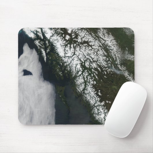 British Columbia Muismat (Met muis)