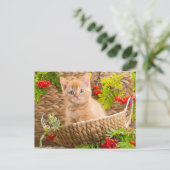 British Kitten in een mand met bergen Briefkaart (Staand voorkant)