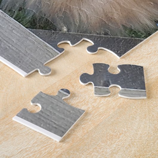 British Longhair Cat - Chocolate, Silver Tabby Legpuzzel (Zijkant)