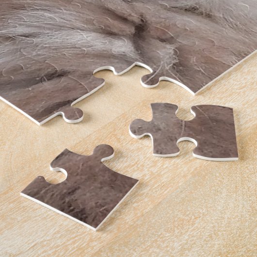 British Longhair Cat - Chocolate, Silver Tabby Legpuzzel (Zijkant)