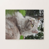 British Longhair Cat - Chocolate, Silver Tabby Legpuzzel (Horizontaal)