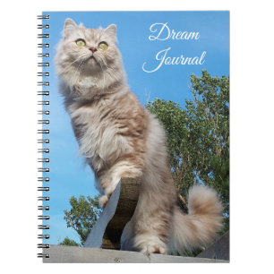 British Longhair Cat Dream Journal Notitieboek