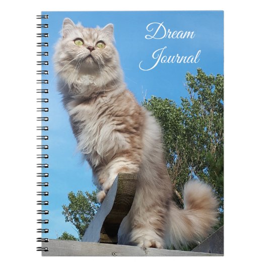 British Longhair Cat Dream Journal Notitieboek (Voorkant)