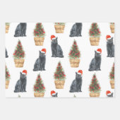 British Longhair Cat in Santa Hat, kat Fan Gift Inpakpapier Vel (Voorkant 3)