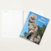 British Longhair Cat Yarly Planner (Display)